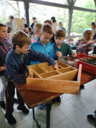 Fotografie img_20250425_101652_original.jpg