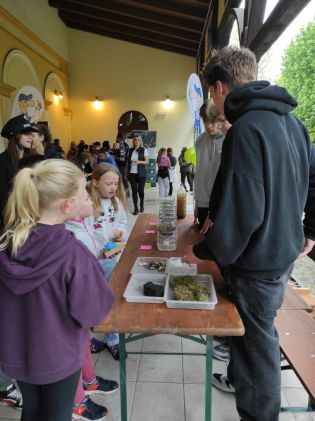 Fotografie img_20250425_103148_original.jpg