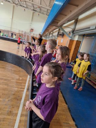 Fotografie img-20250428-wa0021_original.jpg