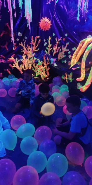 Fotografie img-20250429-wa0006_original.jpg