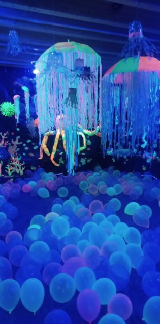 Fotografie img-20250429-wa0009_original.jpg