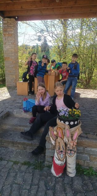 Fotografie img-20250429-wa0015_original.jpg