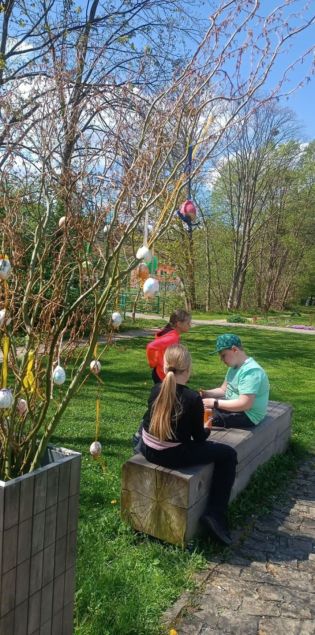 Fotografie img-20250429-wa0019_original.jpg