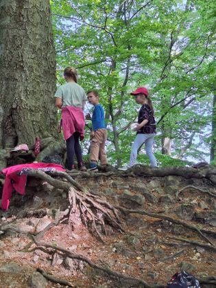 Fotografie img-20250509-wa0005_original.jpg