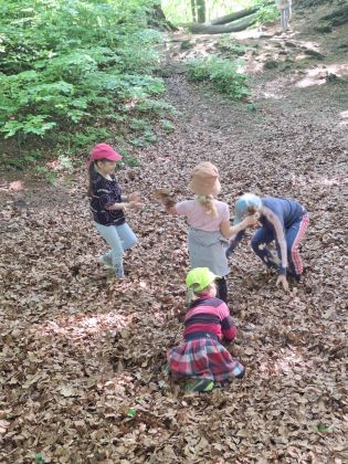 Fotografie img-20250509-wa0006_original.jpg