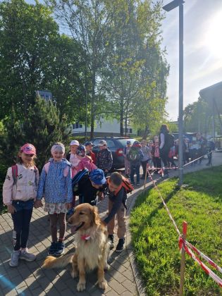 Fotografie img-20250509-wa0011_original.jpg