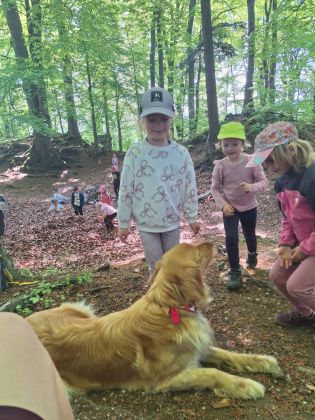 Fotografie img-20250509-wa0012_original.jpg