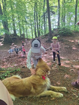 Fotografie img-20250509-wa0014_original.jpg