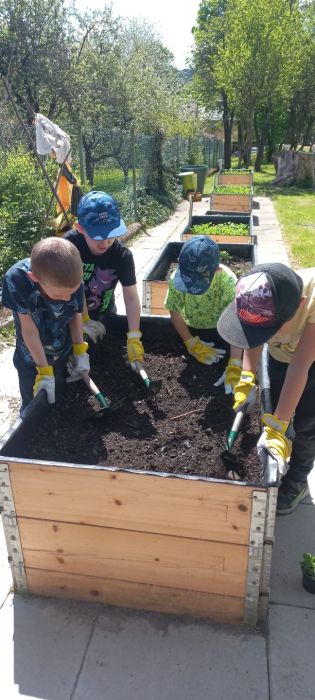 Fotografie img-20250512-wa0014_original.jpg