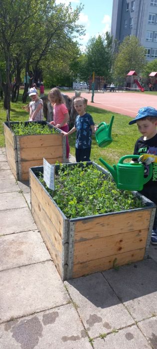 Fotografie img-20250512-wa0015_1_original.jpg