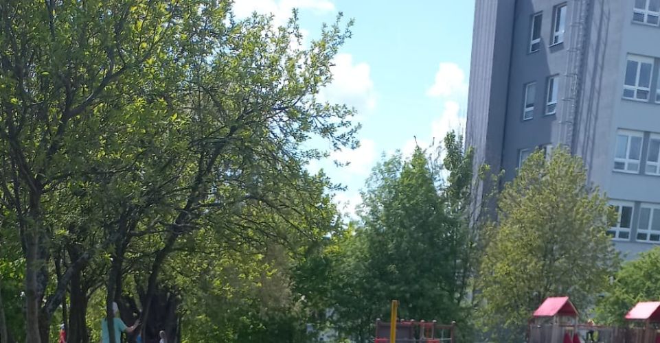 Pěstitelské práce v družině