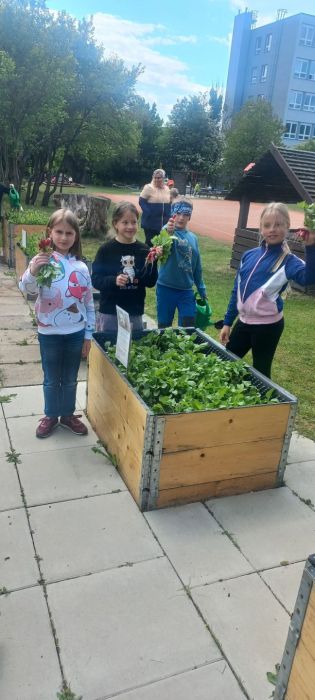 Fotografie img-20250512-wa0016_original.jpg