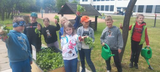 Fotografie img-20250512-wa0017_original.jpg