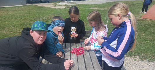 Fotografie img-20250512-wa0018_original.jpg