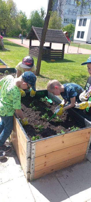 Fotografie img-20250512-wa0019_original.jpg