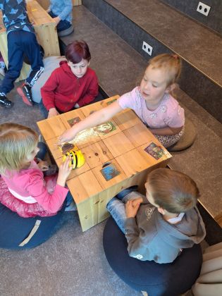 Fotografie img-20250519-wa0012_1_original.jpg