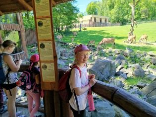 Fotografie img-20250521-wa0053_original.jpg