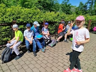 Fotografie img-20250521-wa0054_original.jpg