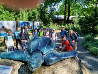 Fotografie img-20250521-wa0057_original.jpg