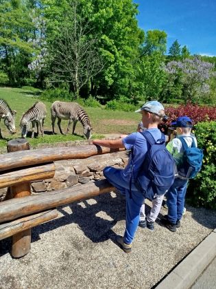 Fotografie img-20250521-wa0059_original.jpg