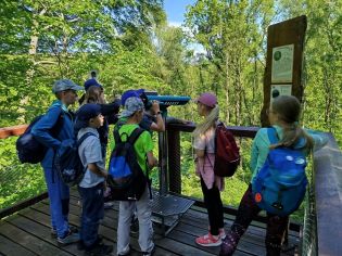 Fotografie img-20250521-wa0060_original.jpg