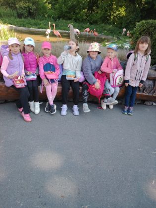 Fotografie img-20250521-wa0042_original.jpg