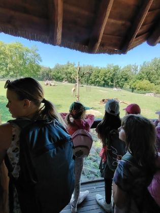 Fotografie img-20250521-wa0043_original.jpg