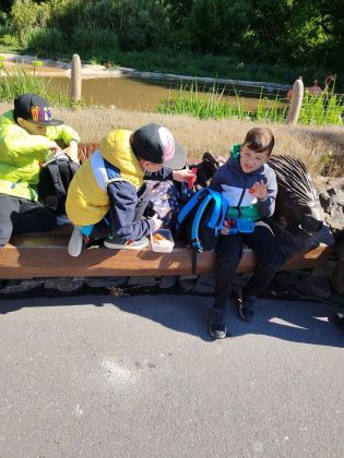 Fotografie img-20250521-wa0045_original.jpg