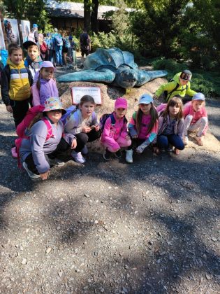 Fotografie img-20250521-wa0048_original.jpg