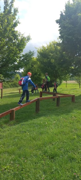 Fotografie img-20250521-wa0038_original.jpg