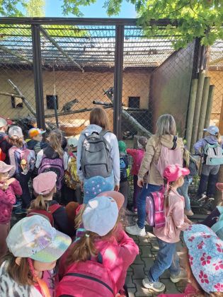 Fotografie img-20250522-wa0003_original.jpg