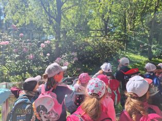 Fotografie img-20250522-wa0005_original.jpg