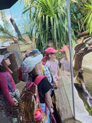 Fotografie img-20250522-wa0007_original.jpg