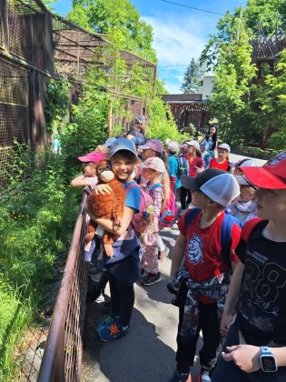 Fotografie img-20250522-wa0015_original.jpg