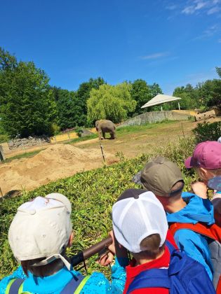 Fotografie img-20250522-wa0018_original.jpg