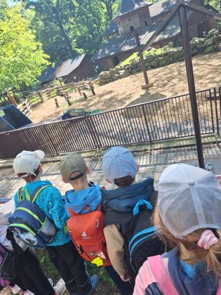 Fotografie img-20250522-wa0021_original.jpg