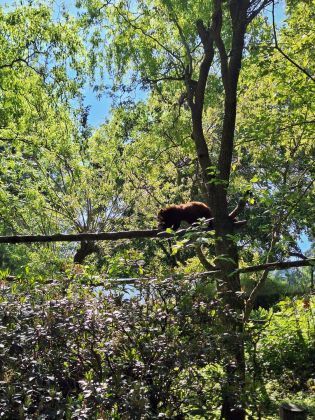 Fotografie img-20250525-wa0003_original.jpg