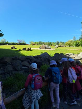 Fotografie img-20250525-wa0005_original.jpg