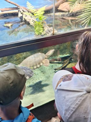 Fotografie img-20250525-wa0006_original.jpg