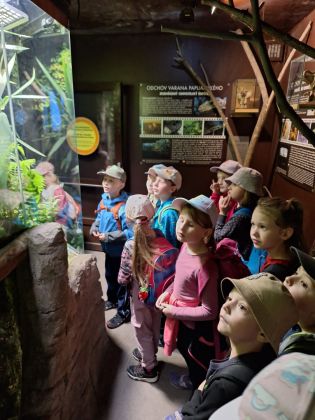 Fotografie img-20250525-wa0007_original.jpg