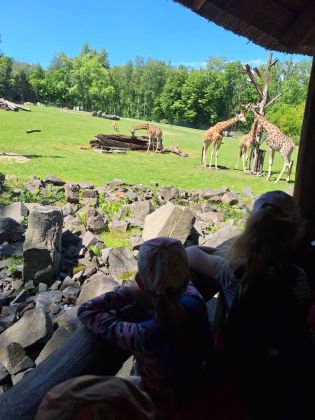 Fotografie img-20250525-wa0009_original.jpg