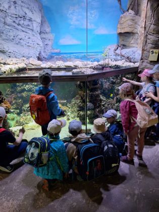 Fotografie img-20250525-wa0010_original.jpg