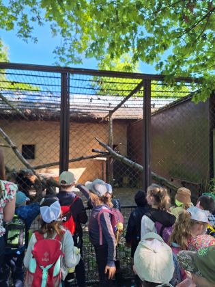 Fotografie img-20250525-wa0011_original.jpg