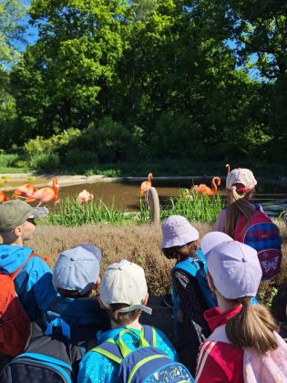 Fotografie img-20250525-wa0014_original.jpg