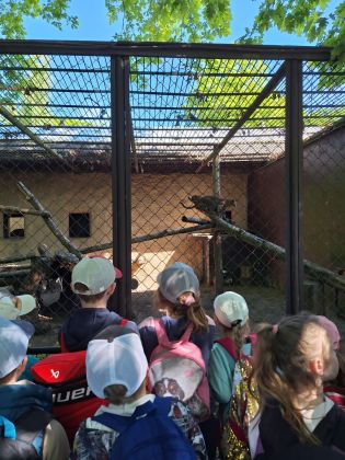 Fotografie img-20250525-wa0017_original.jpg