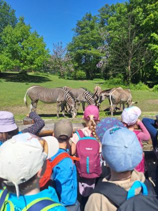 Fotografie img-20250525-wa0018_original.jpg