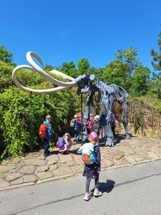 Fotografie img-20250525-wa0019_original.jpg