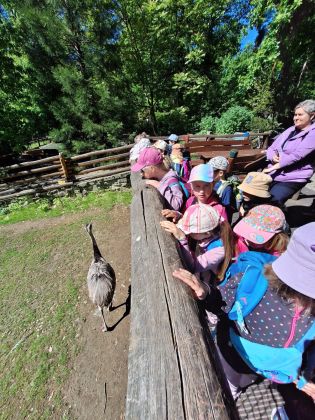 Fotografie img-20250525-wa0022_original.jpg