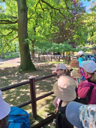 Fotografie img-20250525-wa0024_original.jpg