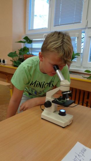 Fotografie 1576650871939_original.jpg